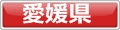 犬と泊まれるホテル愛媛県