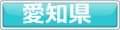 犬と泊まれるホテル愛知県